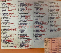 Animal kingdom examplesv.pdf